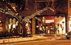 Tree lights aren't just for Christmas