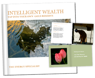 Intelligent Wealth booksleeve
