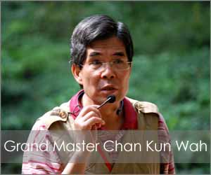 Grand Master Chan Kun Wah