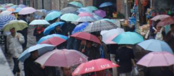 Umbrellas sell well in the rain