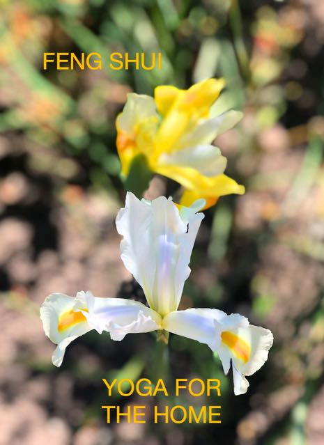 Flower captioned Feng Shui - Home Yoga