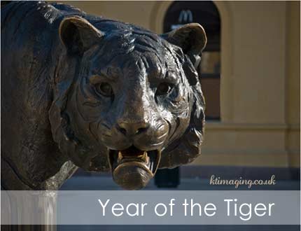 Year of the Tiger